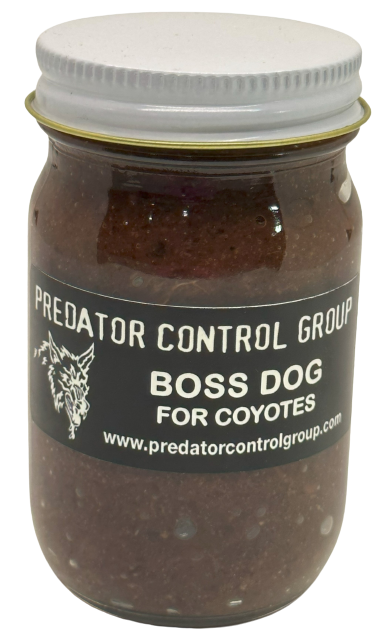  Predator Control Group BOSS Dog, Coyote Lure : Sports